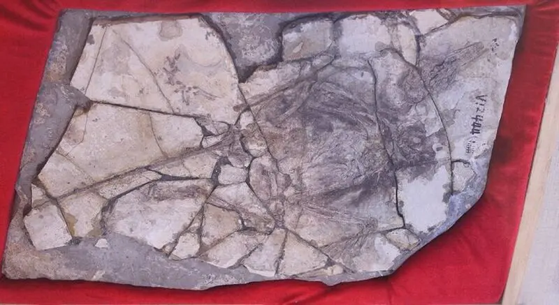 صخره