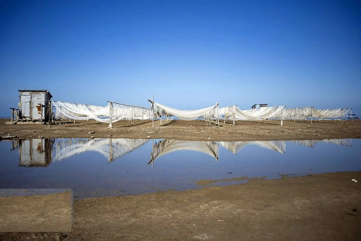 تصاویر؛ میانکاله در خطر خشکی