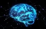 آیا ما فقط از ۱۰ درصد توان مغز خود استفاده می‌کنیم؟