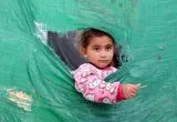  عقرب‌ها بلای جان کودکان آواره غزه