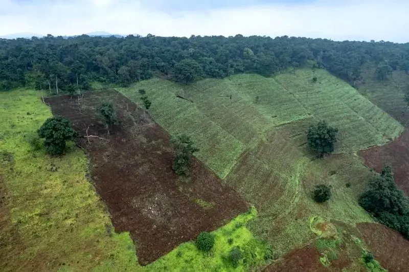 تصاویر حیات وحش ۲۰۲۵