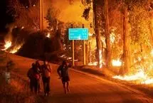 آتش‌سوزی‎های گسترده در الجزایر در پی گرمای هوا