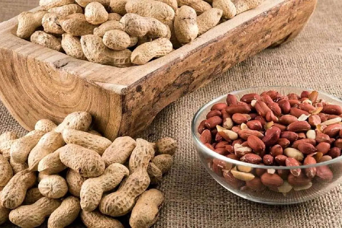 با خوردن این مغز دیرتر پیر می‌شوید