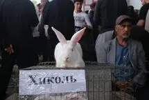 تصاویر؛ چهره امروز تاجیکستان ۳۵ سال پس از استقلال