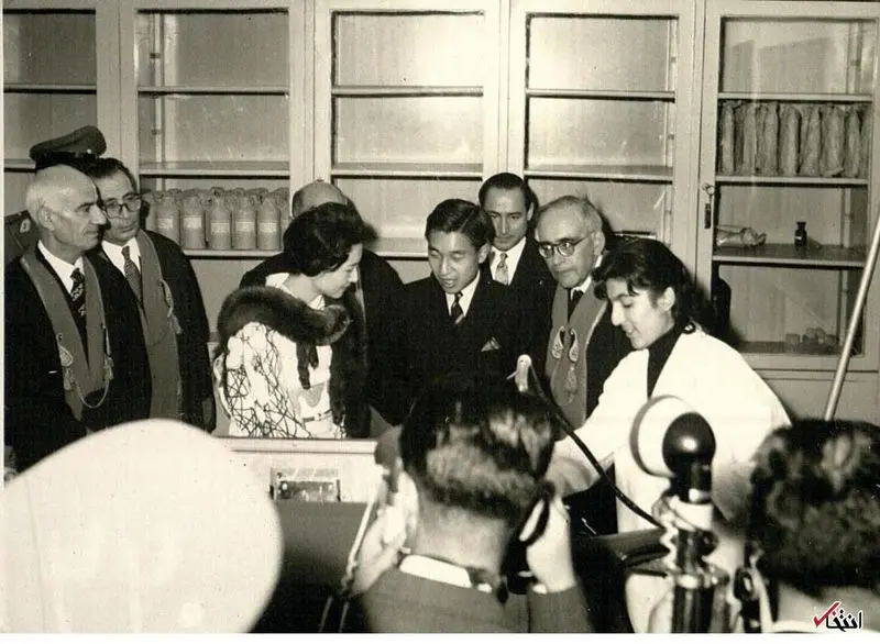 1977181_220