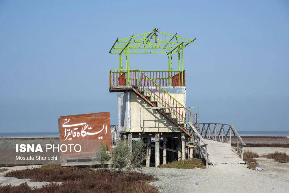 گالری