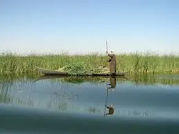 برای دریاچه هامون معجزه شد
