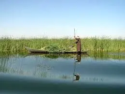 برای دریاچه هامون معجزه شد