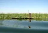 برای دریاچه هامون معجزه شد