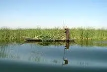 برای دریاچه هامون معجزه شد