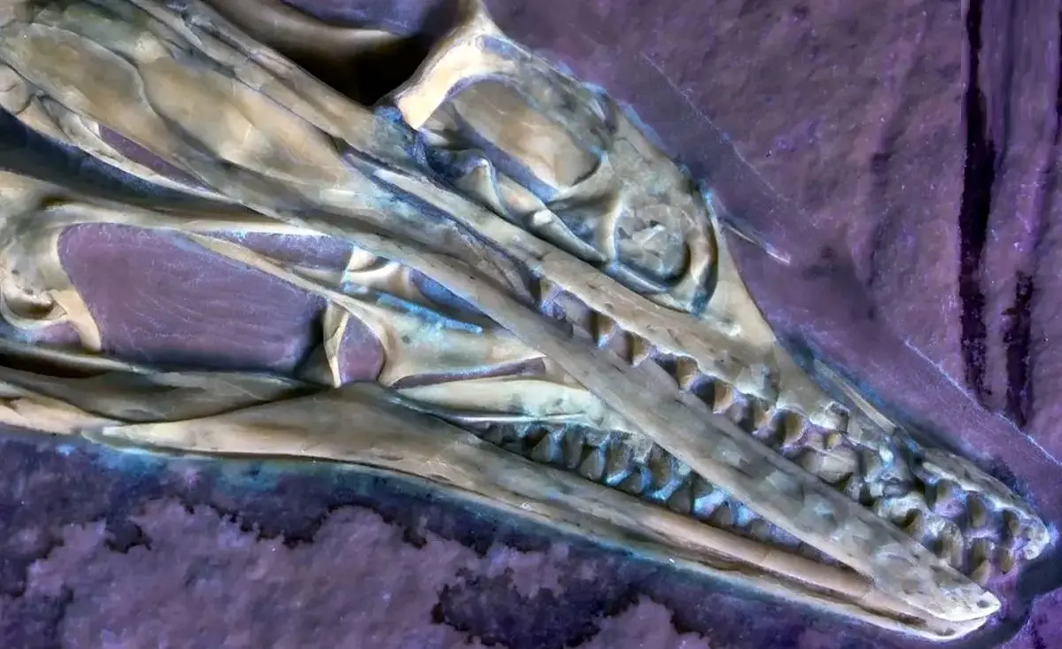 بازگشت به ژوراسیک: یکی از نخستین پرندگان جهان