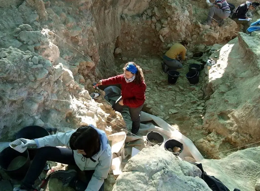 نئاندرتال‌ها 43 هزارسال قبل «جمجمۀ حیوانات» را اینجا جمع می‌کردند
