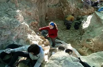 نئاندرتال‌ها 43 هزارسال قبل «جمجمۀ حیوانات» را اینجا جمع می‌کردند
