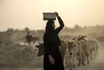 تصاویر؛ بحران آب در کرخه