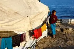 رُز از دیوارها می ترسد!