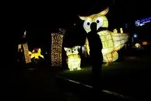 تصاویر؛ جشن نور تهران