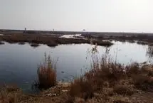 تالاب خشکیده «صالحیه» منشأ گرد و غبار در تهران
