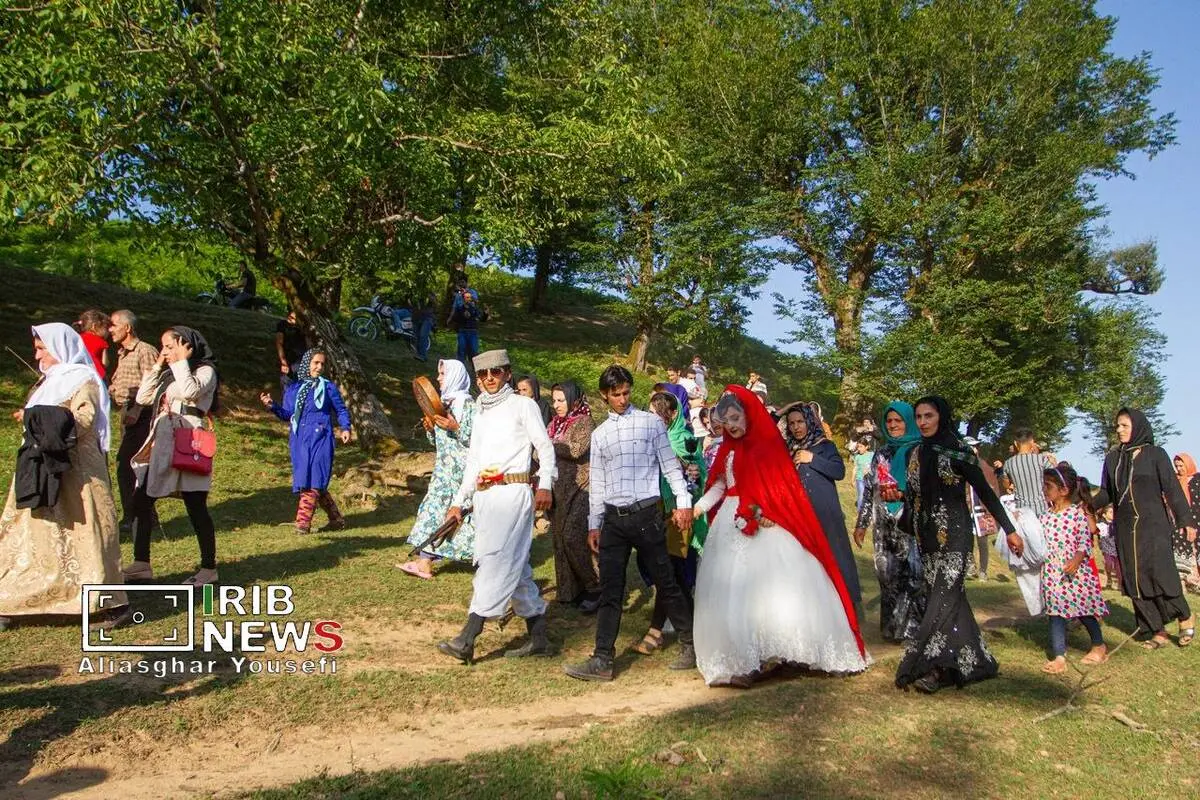گالری