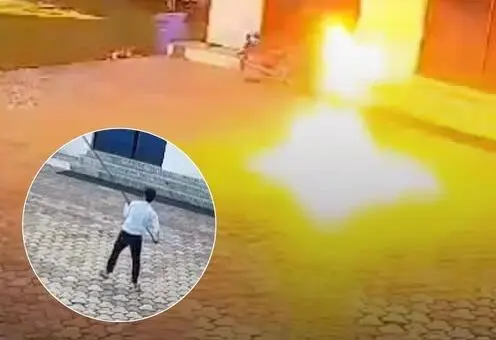 ببینید؛ برق‌گرفتگی مرگبار کارمند هتل هنگام تعقیب میمون

