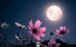 تفال به حافظ پنجشنبه 1 خردادماه 1404؛ هزار دشمنم ار میکنند قصد هلاک....