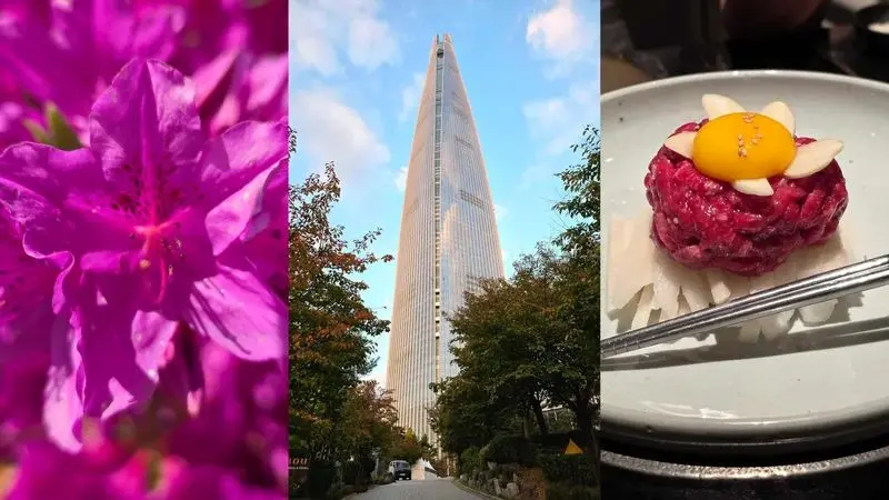 وان‌پلاس ۱۵