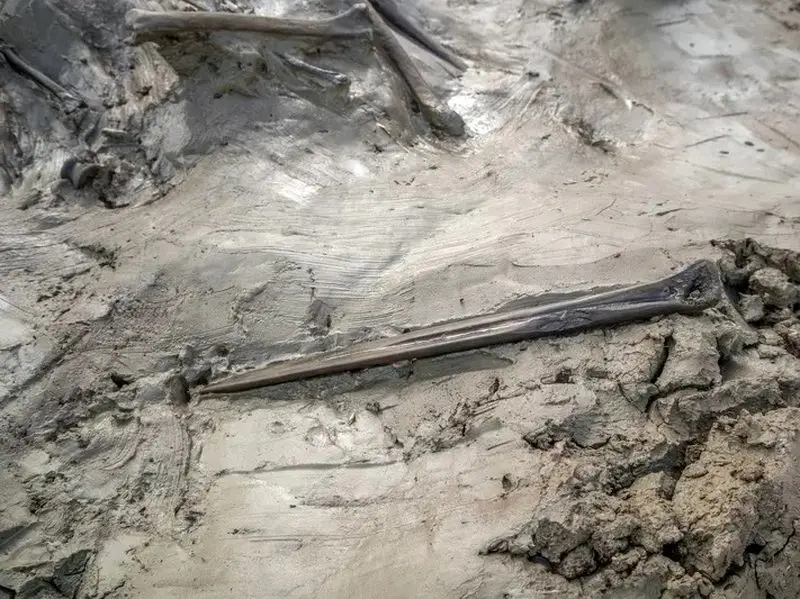 قبر سگ 5000 ساله