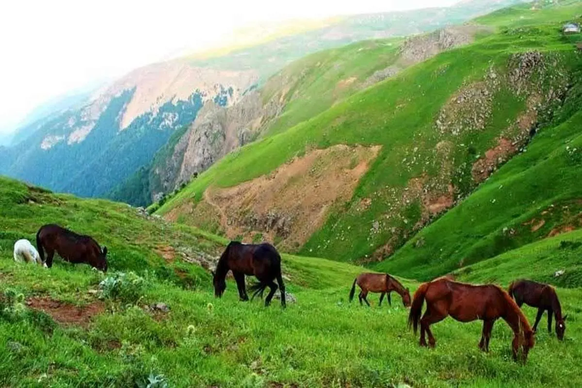  کوچ بهاری اسب‌ها در دیلمان گیلان