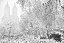 منظره زمستانی پارک مرکزی نیویورک 