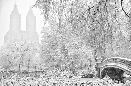 منظره زمستانی پارک مرکزی نیویورک 