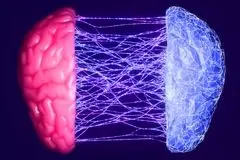 کشف تحول‌آفرین؛ آیا دلیل پیدایش خودآگاهی مشخص شده؟