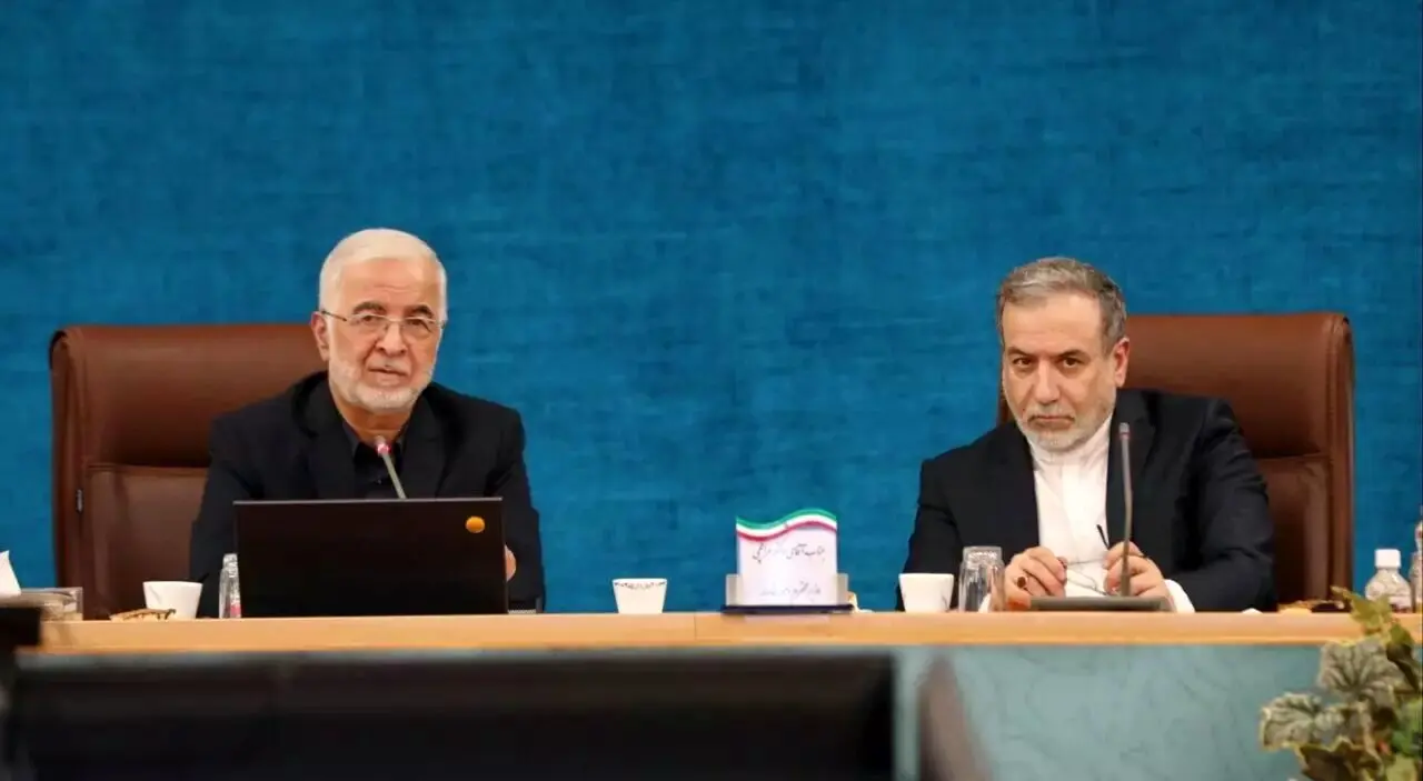 حمایت عراقچی از دیپلماسی استانی