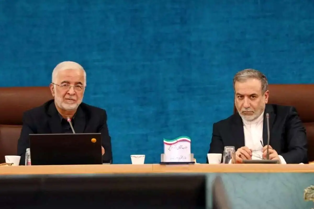 حمایت عراقچی از دیپلماسی استانی