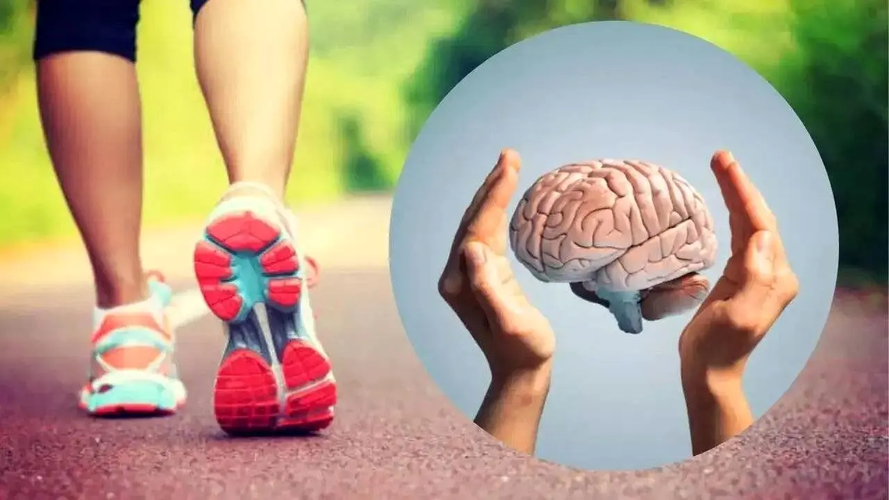 زوال عقل در کمین است؛ اگر…/ داستان یک تحقیق طولانی