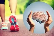 زوال عقل در کمین است؛ اگر…/ داستان یک تحقیق طولانی