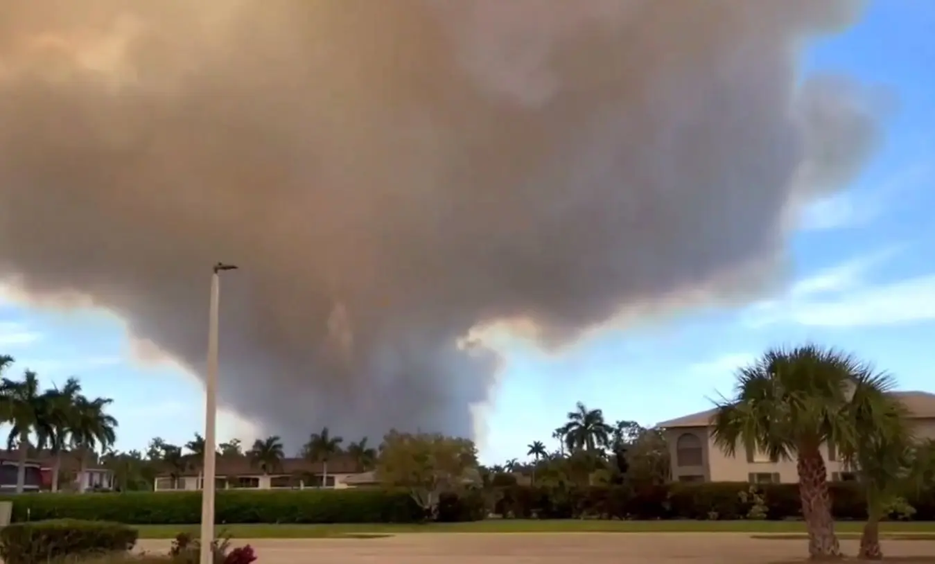 زبانه‌های آتش در جنگل‌های ناپل فلوریدا