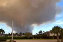 زبانه‌های آتش در جنگل‌های ناپل فلوریدا