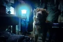 فیلم سینمایی «پسرخوب»؛ نگاهی متفاوت به زندگی از چشم سگ‌ها
