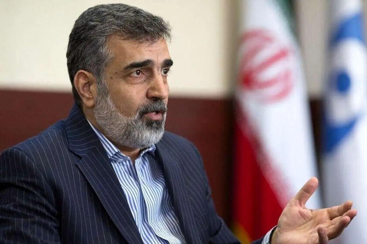 کمالوندی: در صورت تصویب قطعنامه، ایران در سطح همکاری با آژانس تجدیدنظر خواهدکرد