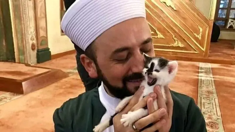 ببینید؛ گربه مهمان ناخوانده اذان در یک مسجد