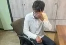 متهم سرقت از منزل یکی از سفرای مقیم تهران دستگیر شد 