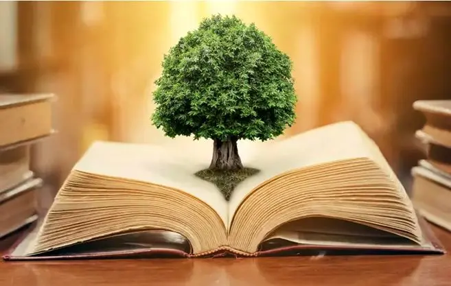 ملت‌ها از کجا می‌آیند؟