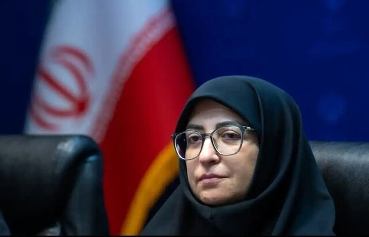 پاسخ شینا انصاری به ثابتی: جهت بررسی اسناد به سازمان تشریف بیاورید
