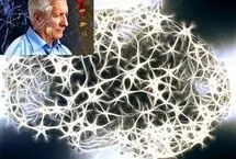 عامل زوال عقل و آلزایمر، «ترافیک پروتئین» است