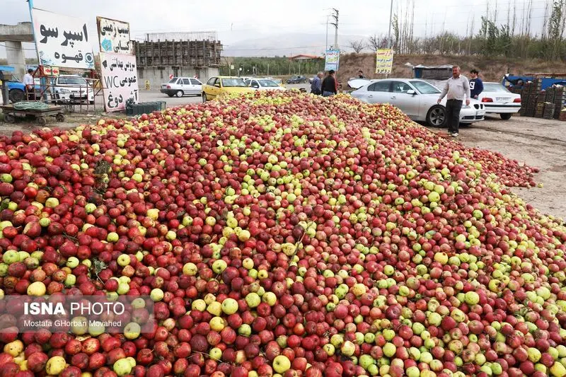 جهان به روایت تصویر