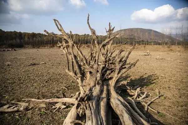 تصاویر؛ دریاچه الندان در معرض خطر خشکی