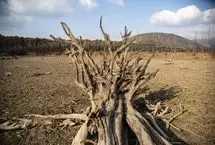 تصاویر؛ دریاچه الندان در معرض خطر خشکی