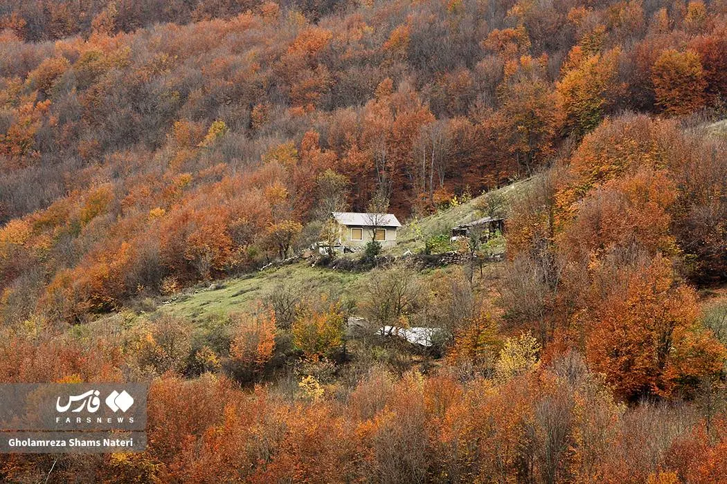 عکس صفحه گوشی پاییز