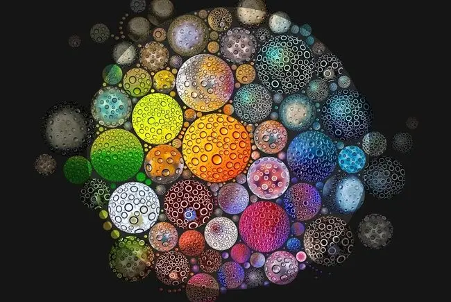 انقلاب در درک انرژی؛ بازنویسی میراث ۸۰ ساله‌ی زیست‌شناسان