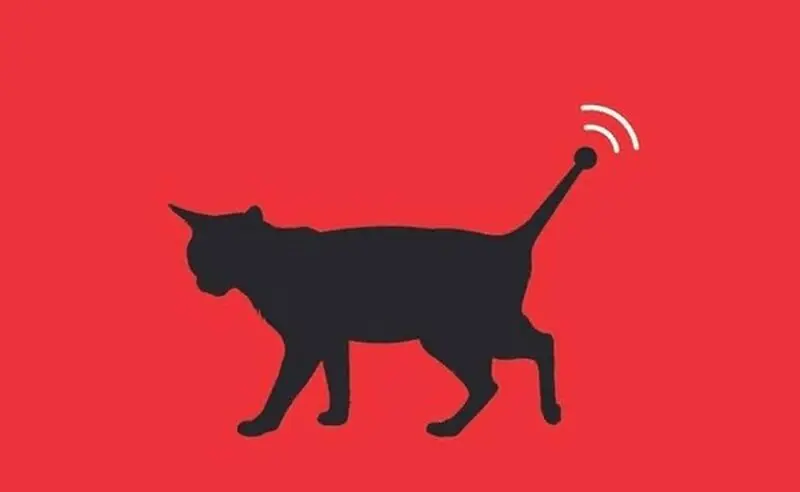 گربه جاسوس