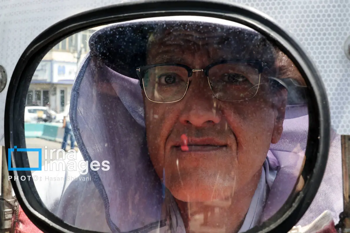 گالری